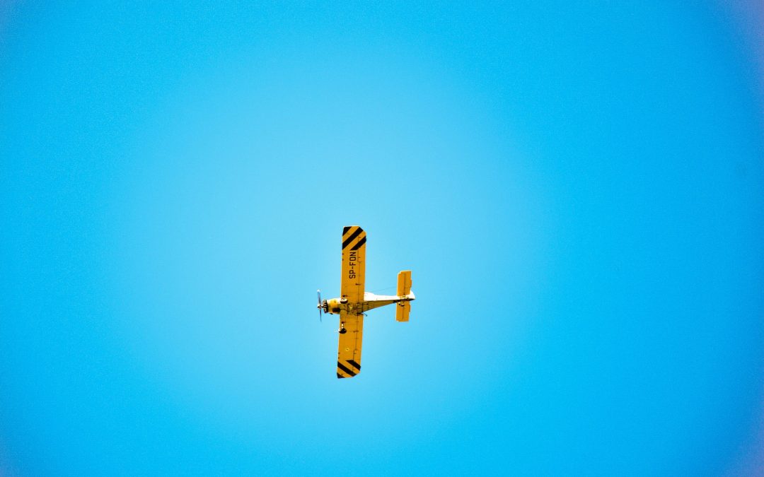 Flight Review: Getting Back in the Cockpit after 5 Years